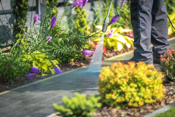 Best Pool Deck Cleaning  in Greybull, WY