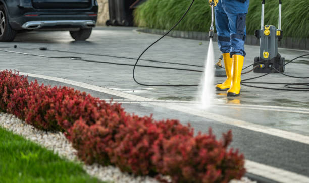 Best House Exterior Washing  in Greybull, WY